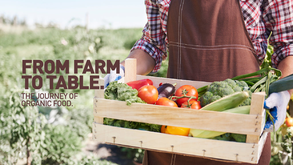 From Farm to Table: The Journey of Organic Food