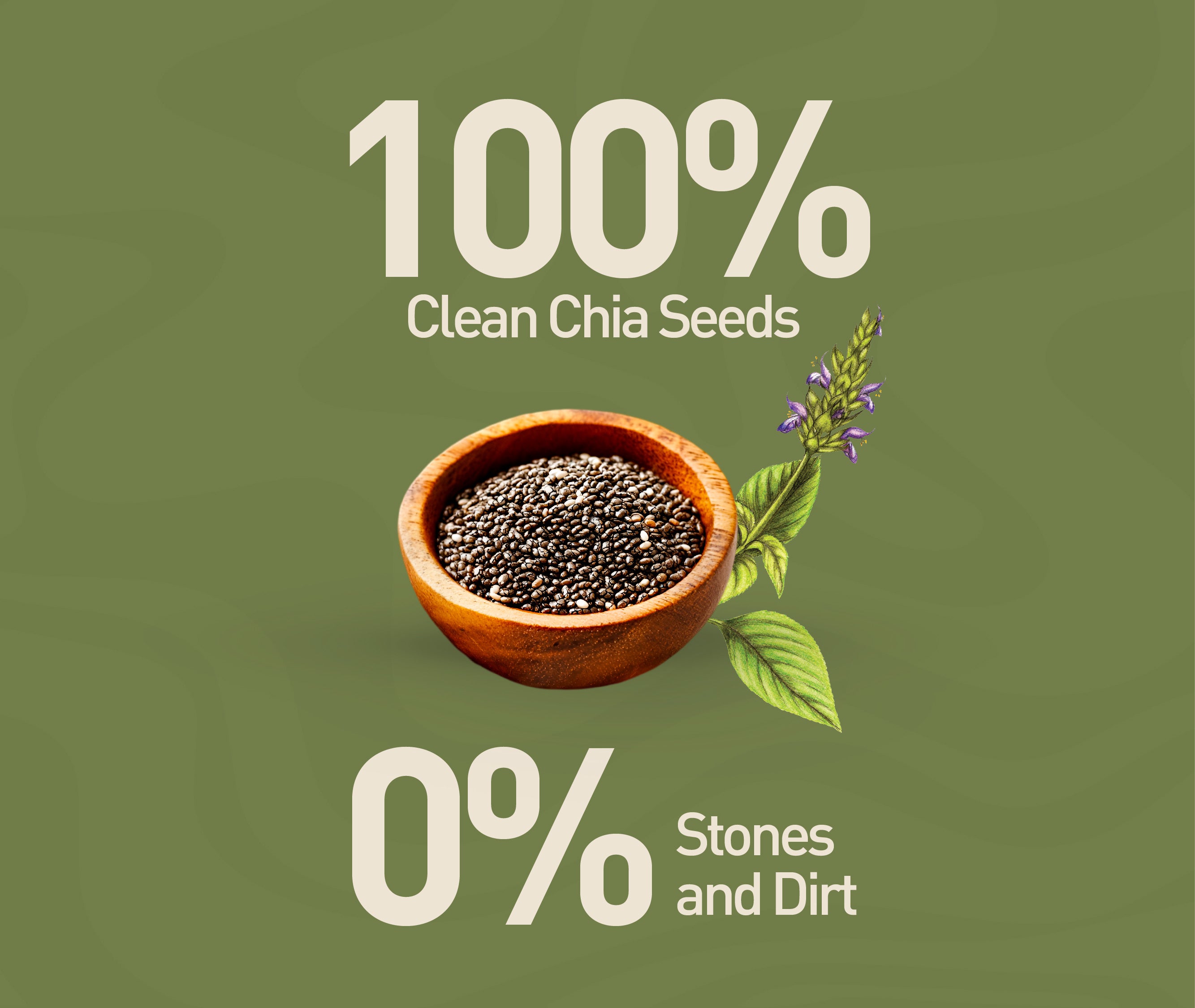 Organic Chia Seeds