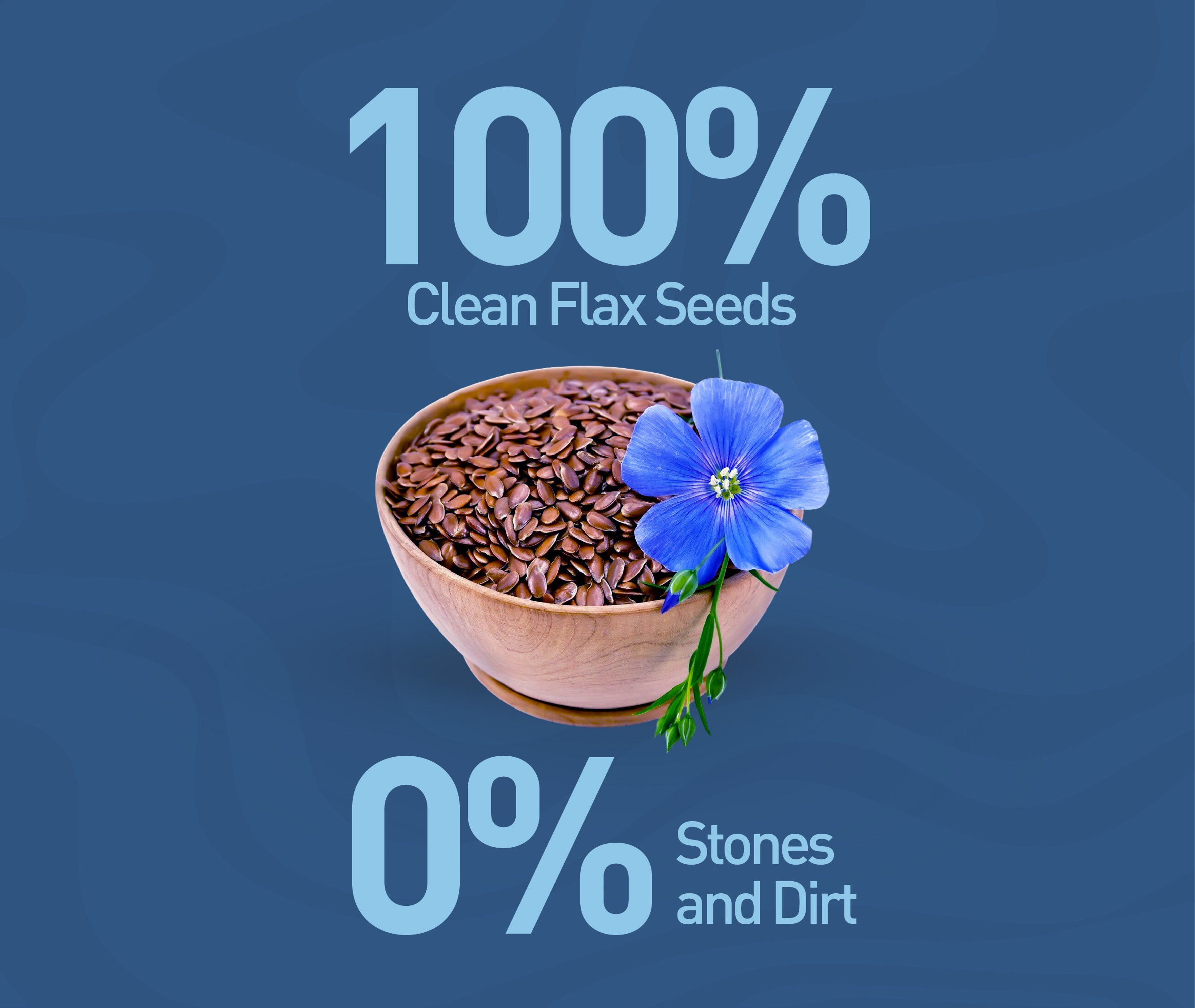 Active Flax Seeds