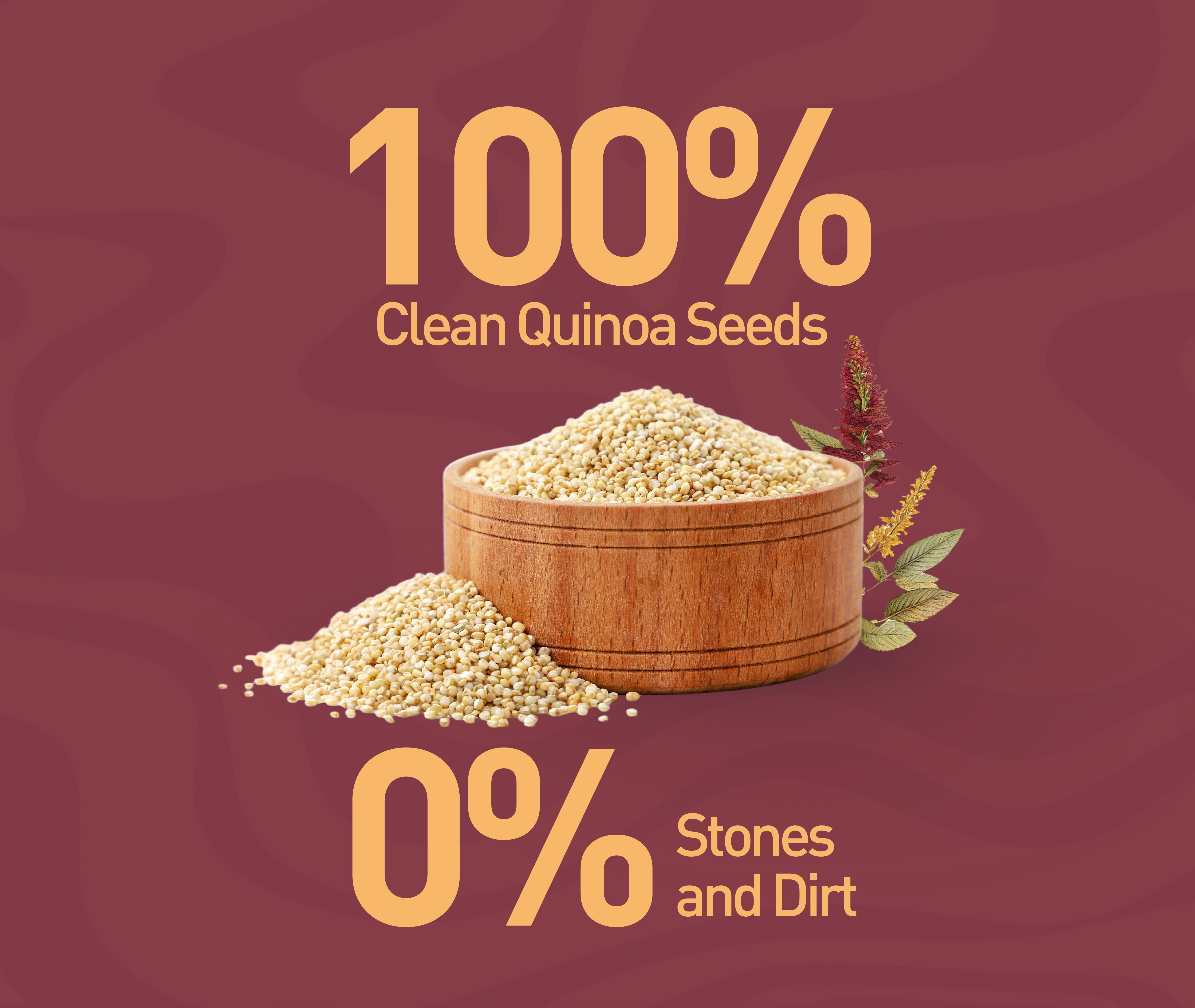 Organic Quinoa Seeds