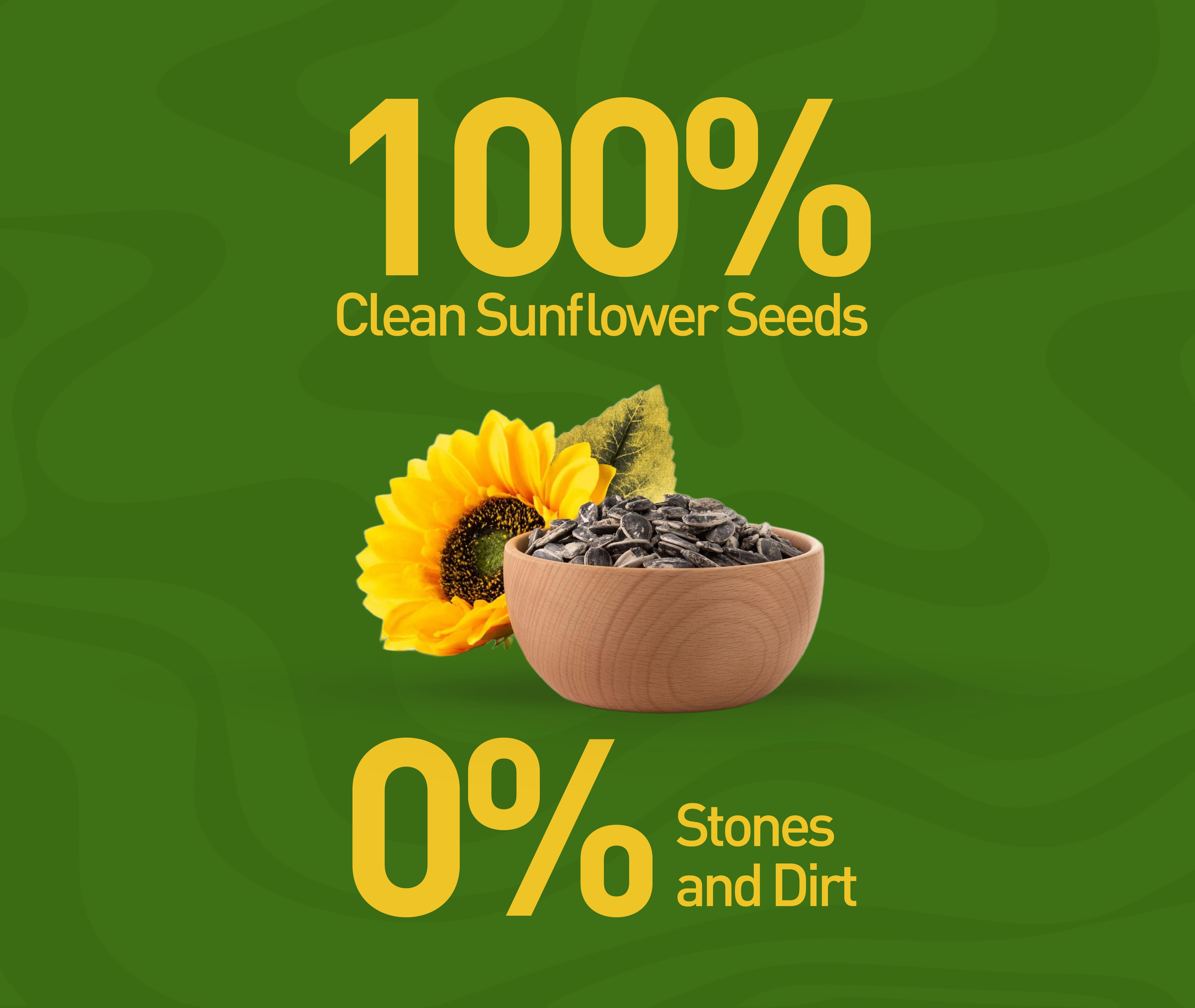 Active Sunflower Seeds