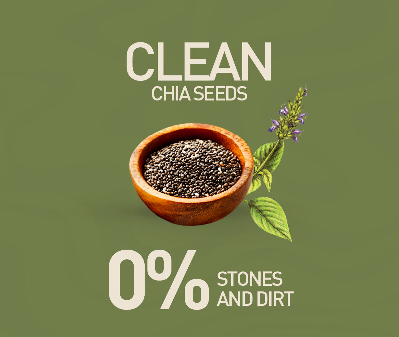 Organic Chia Seeds (Pack of 2)