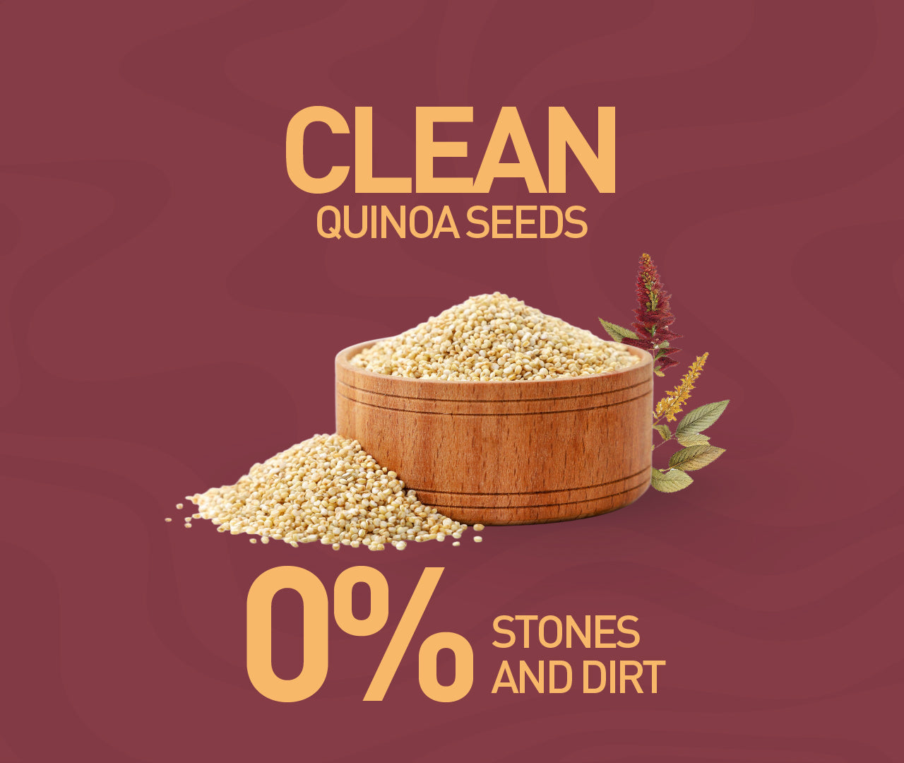 Organic Quinoa Seeds – Protein-Rich Superfood | Nourish Organics
