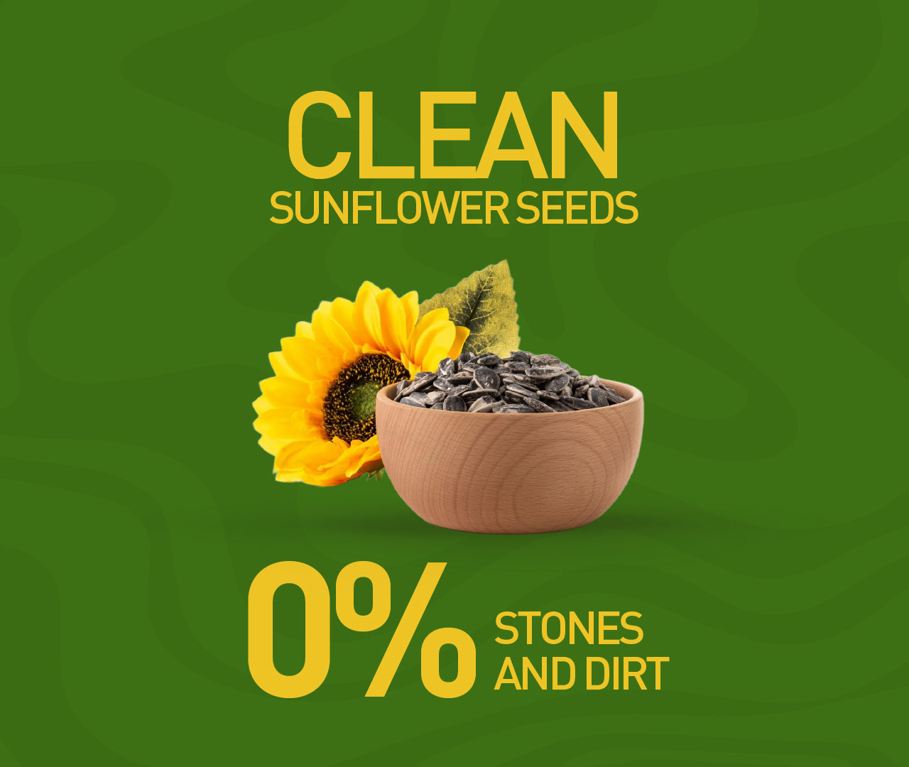 Active Sunflower Seeds (Pack of 2)